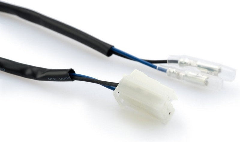Puig License Support Light Grup Instalation | 20588