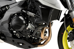 puig_21601N