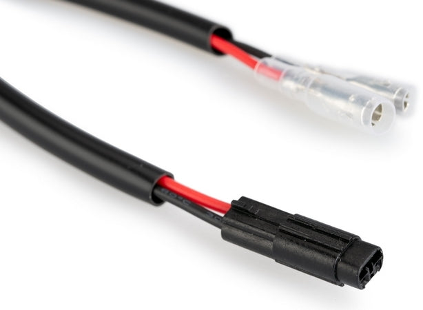 Puig License Support Light Grup Instalation | 21979