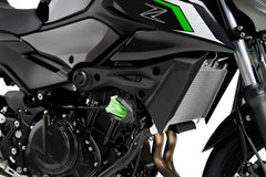 Puig R19 Frame Sliders | 22011