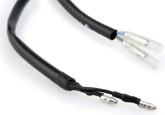 puig_3846N