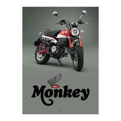 pyr_MP100R