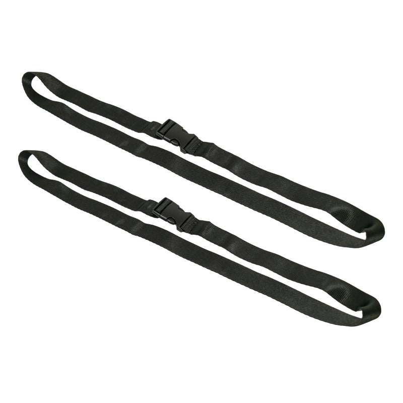 Buckle Straps Set Of 2