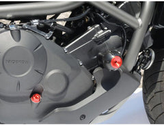 RD Moto Crash Protector | H35-PHV1