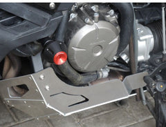 RD Moto Crash Protector | H37-PHV1