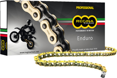Regina 520 ZSE Drive Chain | 135ZSE/1003