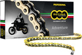 Regina 525 ZRE Drive Chain | 137ZRE/015