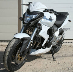 S2-Concept Radiator Scoops HORNET 600 painted | H644