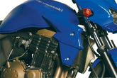 S2-Concept Radiator Scoops Z750 painted | K754_PEINT