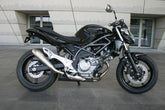 S2-Concept Radiator Scoops GLADIUS painted | S655
