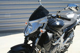 S2-Concept Nose fairing GLADIUS painted | S657