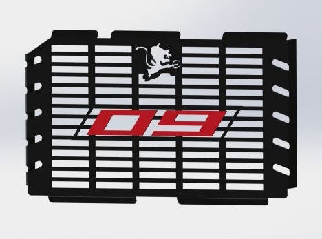 S2-Concept Radiator grille MT09 | W12Y.4606