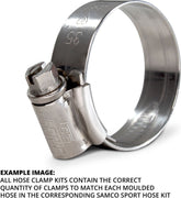 Stainless Steel Radiator Hose Clamp Kit