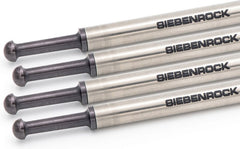 sbr_1132911