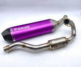 Full Exhaust Alu/Carbon PURPLE
