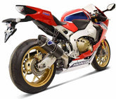 Termignoni COLLECTOR+SILENCER, STAINLESS STEEL, CARBON, Racing, Without Catalyzer | H16309440ICC
