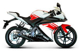 Termignoni KIT, STAINLESS STEEL YAMAHA YZF-R 125 (2008-2013) | Y088094CR
