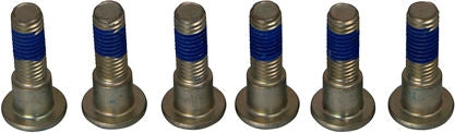 TRW BRAKE ROTOR BOLTS | MSS132-6