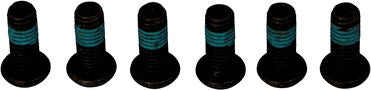 TRW BRAKE ROTOR BOLTS | MSS133-6