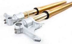 Unit Garage Front suspension Ohlins R nineT Gold | COD. FGRT226