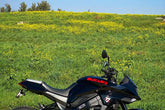 Yoshimura USA Katana 2020 Alpha Stainless Slip-On Exhaust, With Stainless Muffler | 11500BP520
