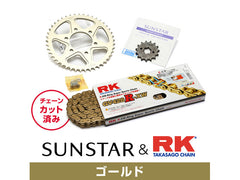 SUNSTAR KR20103 sprocket & chain kit (Gold) | KR20103