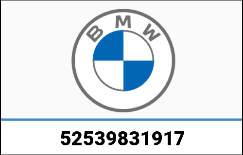 bm_52539831917
