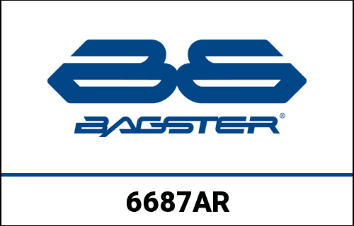 bag_6687AR