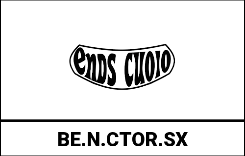ends_BE.N.CTOR.SX