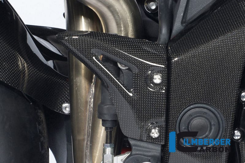 Heel Protector (right) Carbon
