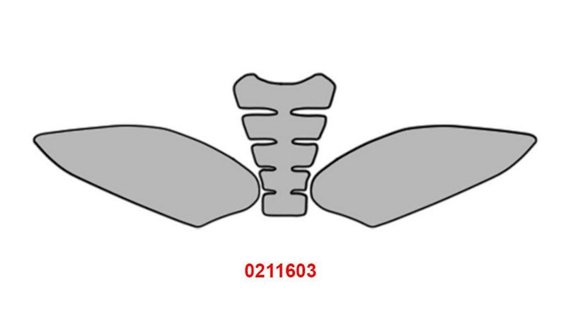 HG_0211603
