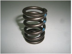 Hornig Valve spring | 1134176