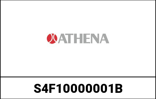 ATHENA PISTON KIT YFM660 01/03 B | S4F10000001B