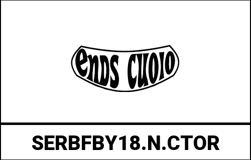 ends_SERBFBY18.N.CTOR