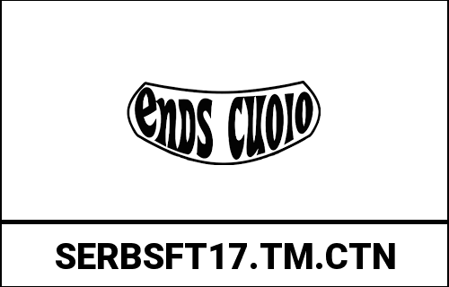 ends_SERBSFT17.TM.CTN