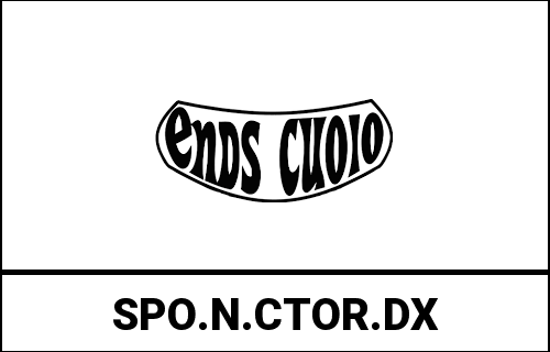 ends_SPO.N.CTOR.DX