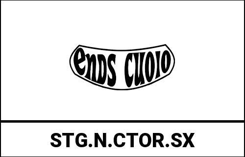 ends_STG.N.CTOR.SX