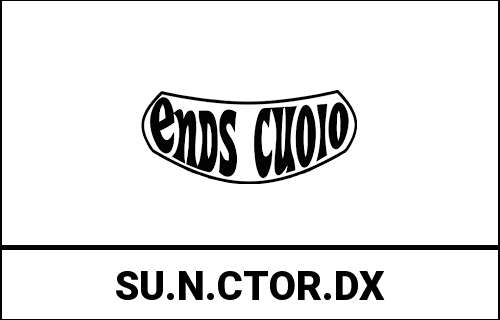 ends_SU.N.CTOR.DX