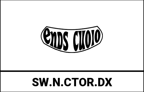 ends_SW.N.CTOR.DX
