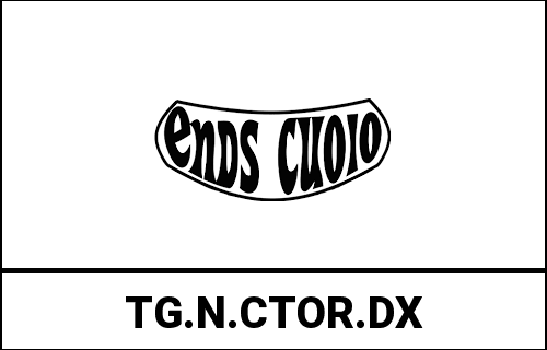 ends_TG.N.CTOR.DX