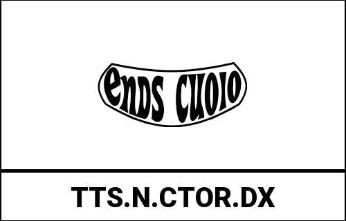 ends_TTS.N.CTOR.DX