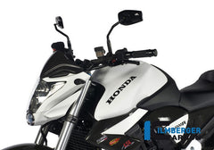 Windshield Carbon
