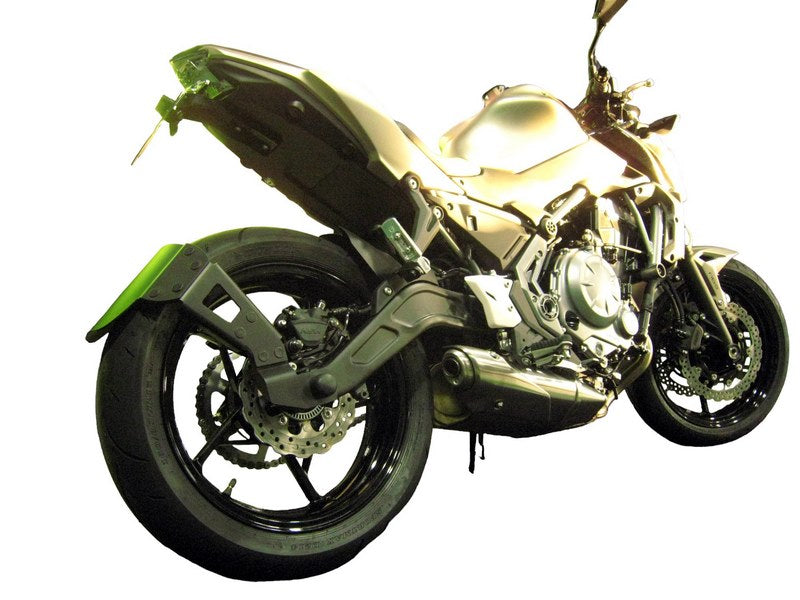 Rear Mudguard
