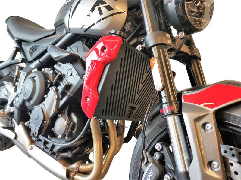Radiator Guard Grill