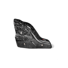 Akrapovic Heat Shield Carbon | P-HSD9SO3