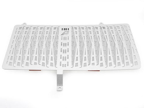AltRider Radiator Guard for the BMW F 800 GS (2008-2012) - Silver