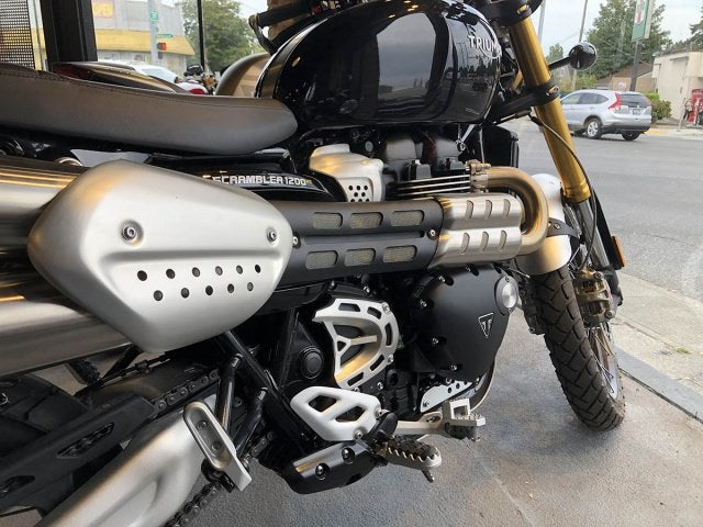 AltRider DualControl Brake System for Triumph Tiger 900 Rally / Pro - Silver | TT99-1-2532