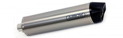 Tailpipe Maxi Race-Tech Titanium Cap Carbon Ece Euro4