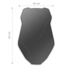 Windshield