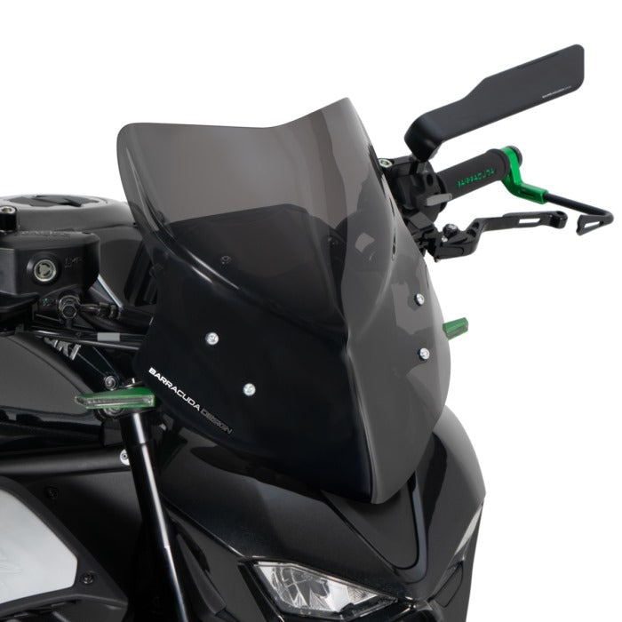 Windshield Aerosport